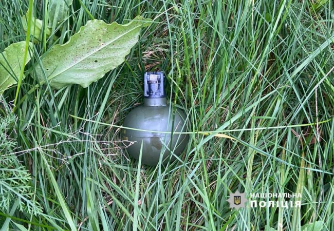 У 20-річного волинянина знайшли вдома пістолет, гранату та набої