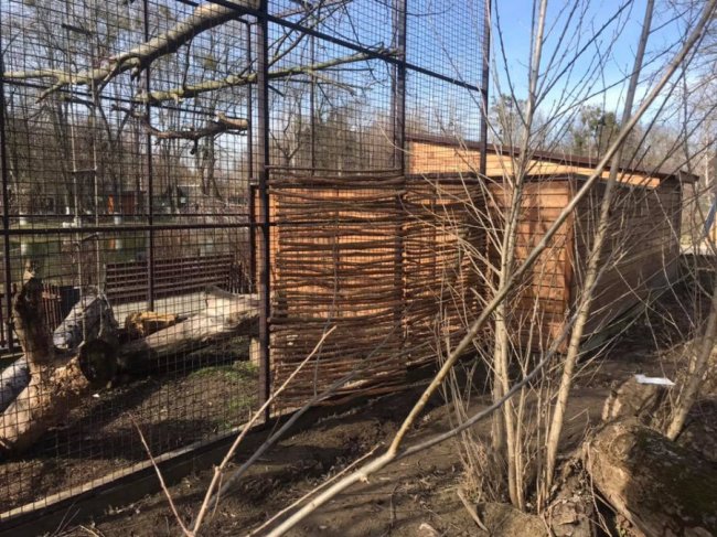 У луцькому зоопарку – весняне оновлення. ФОТО