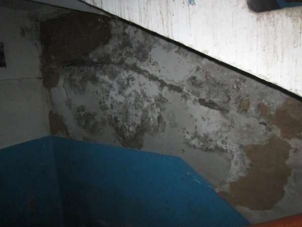 От-от щось може впасти на голову, ‒ мешканка про луцький будинок. ФОТО