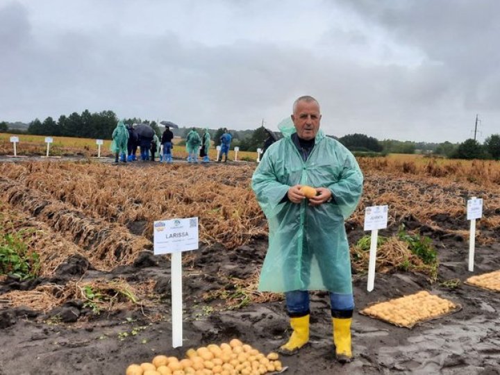 На Волині під час Дня поля презентували 79 сортів картоплі