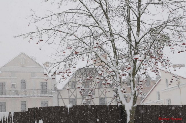 Старе місто у Луцьку накрило сніговою периною. ФОТО
