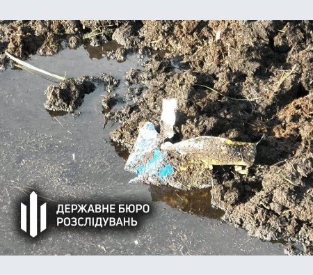 Пілот вчасно катапультувався: ДБР розпочало розслідування аварії винищувача біля Луцька