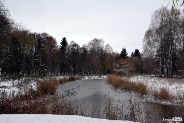 Фото снігового ранку в Луцьку