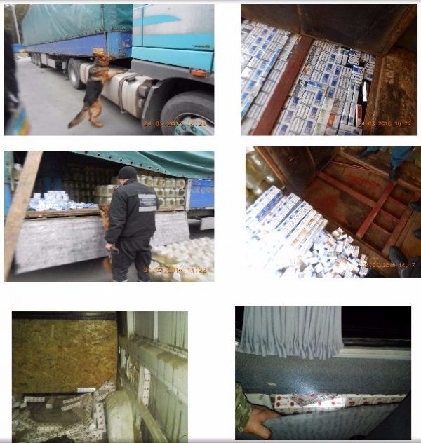 Прикордонники Луцького загону затримали контрабандні цигарки. ФОТО