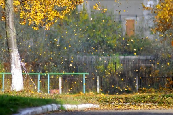 Осінній Луцьк. ФОТО