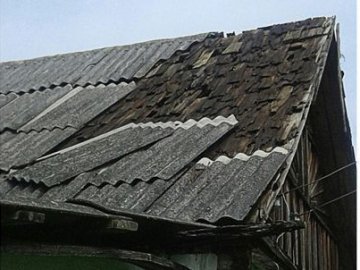 Зруйновані дахи, повалені дерева: розповіли, як на Волині усували наслідки негоди