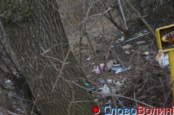 У Луцьку на «чистку» зон біля водойм виділили 600 тисяч гривень. ФОТО