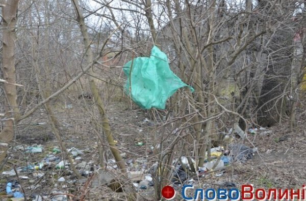 У Луцьку на «чистку» зон біля водойм виділили 600 тисяч гривень. ФОТО