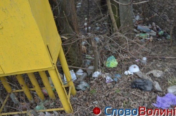 У Луцьку на «чистку» зон біля водойм виділили 600 тисяч гривень. ФОТО