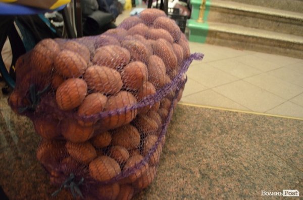 Як ночує луцький Євромайдан. ФОТО