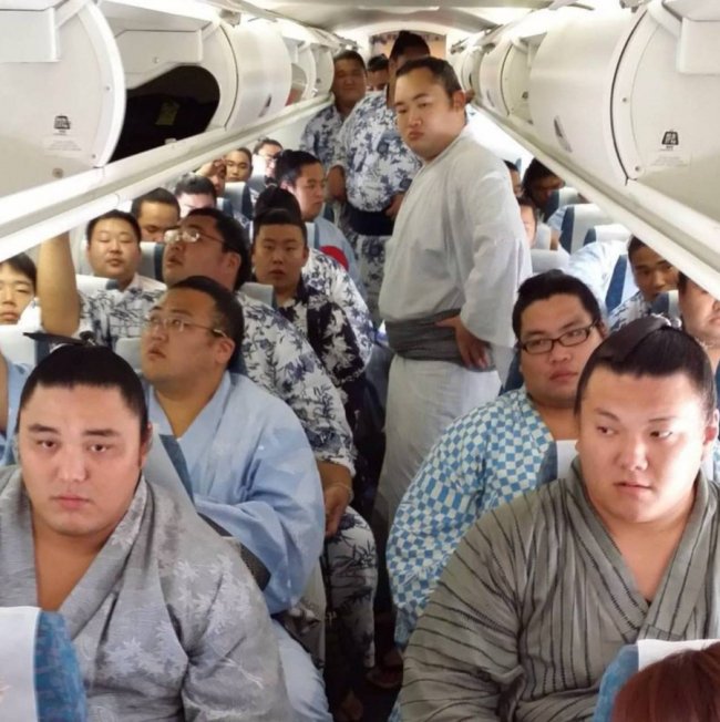 У Токіо не зміг злетіти літак із борцями сумо