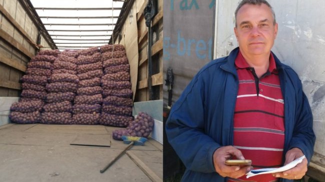 Сезон картоплі на Волині: чи вродила цього року і скільки коштує 