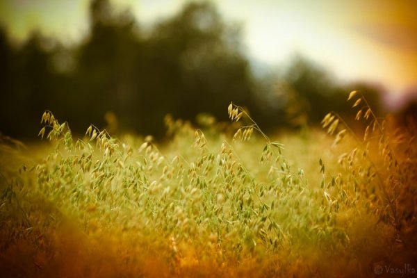 Фотовиставка Василя Лопуховича