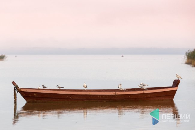 Опублікували фото оповитого туманом Світязю з висоти пташиного польоту