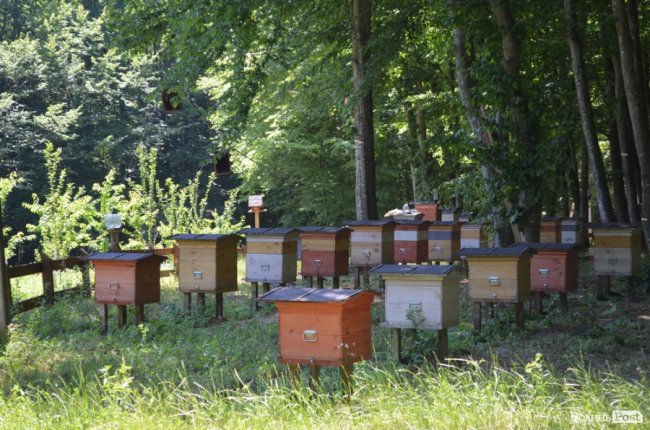 Еко-туризм «за крок» від Луцька: всі стежки ведуть до Воротнева