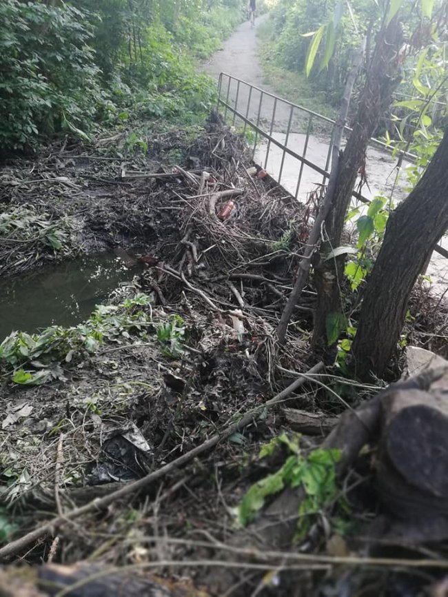 У Луцьку в районі ЛПЗ негода наробила шкоди