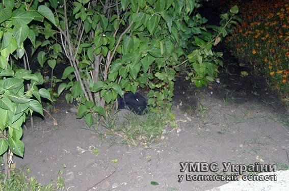 Затримали ковельчанина, який  виходив на «нічні полювання». ФОТО. ВІДЕО