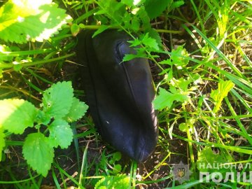 На Волині у жінки вкрали сумку з грошима. ФОТО