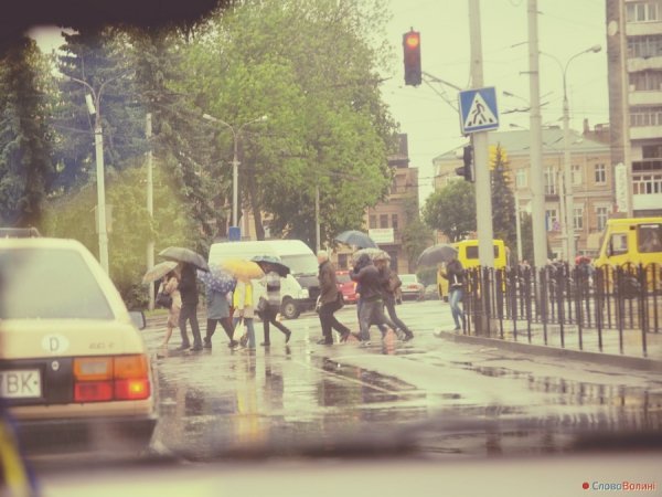 Луцькі парасолі. ФОТО