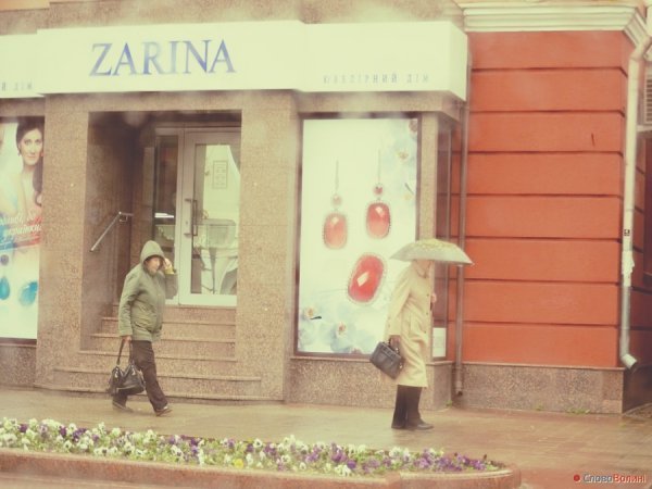 Луцькі парасолі. ФОТО