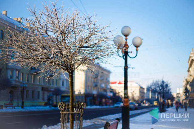 Мерехтливий сніг і кришталевий іній: Луцьк опинився у морозному полоні. ФОТО