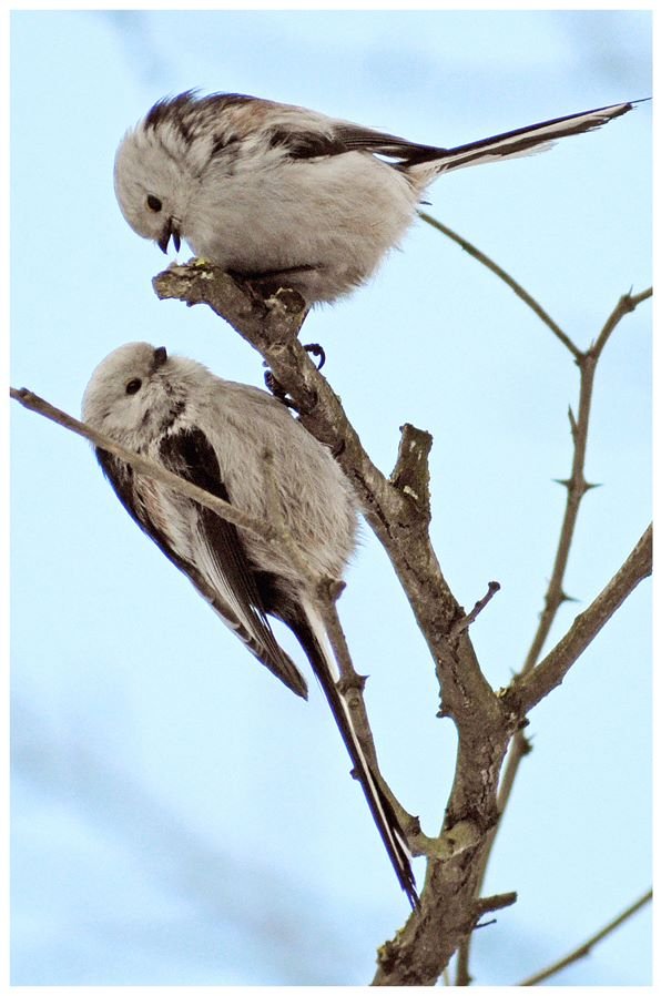 Загубленими стежками: луцький фотограф про Центральний парк міста