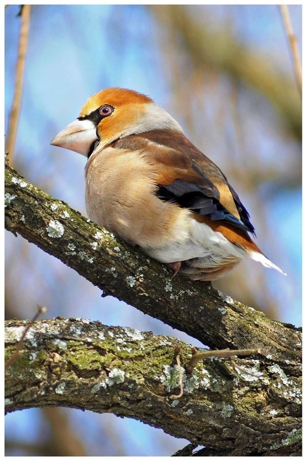 Загубленими стежками: луцький фотограф про Центральний парк міста