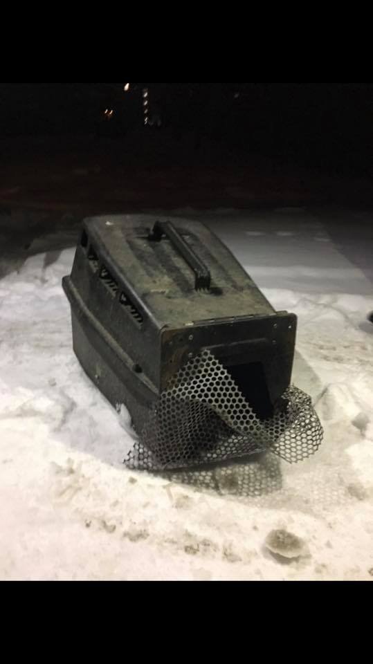 У Луцьку живодер ледь не вбив кота на морозі. ФОТО