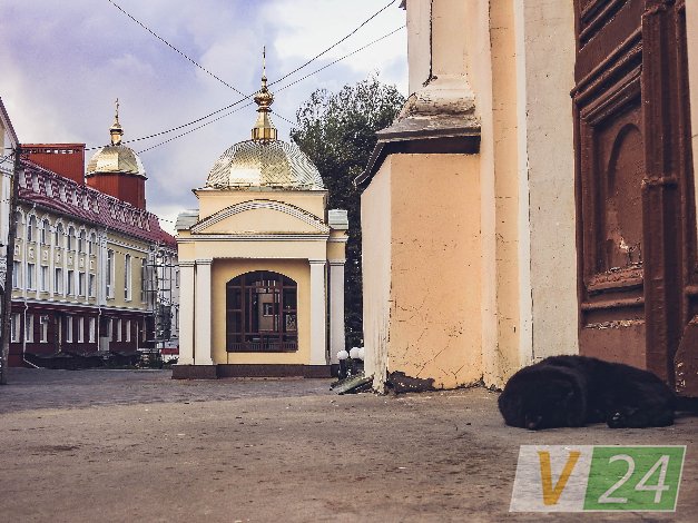 Історія гордого Мурчика, або Як чорний кіт потрапив у луцький монастир