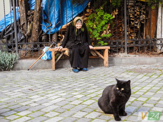 Історія гордого Мурчика, або Як чорний кіт потрапив у луцький монастир