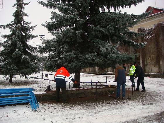 У Ковелі прикрашають головну ялинку міста. ФОТО