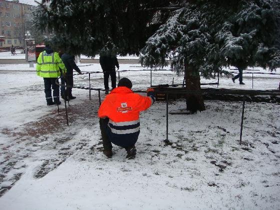 У Ковелі прикрашають головну ялинку міста. ФОТО