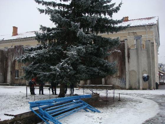 У Ковелі прикрашають головну ялинку міста. ФОТО