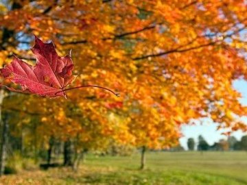 Погода в Луцьку та Волинській області на п’ятницю, 18 жовтня