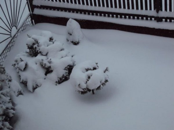 Польщу замело снігом. ФОТО. ВІДЕО