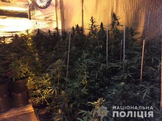 Поліцейські вилучили наркотиків на 4,5 мільйона гривень. ФОТО