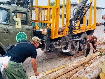 На приватній пилорамі волинянина знайшли деревину без документів