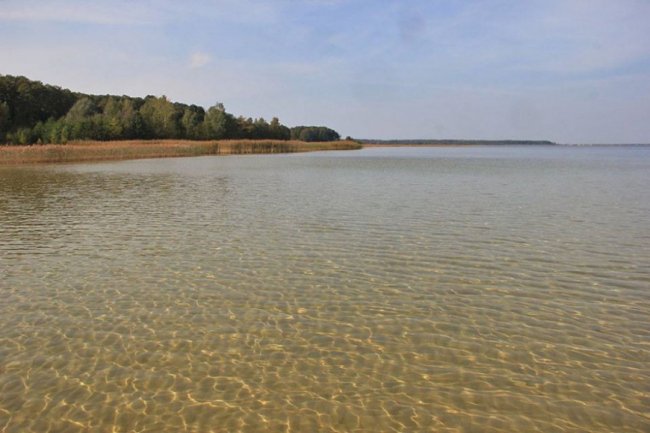 Осіння магія: світанки та вечори на Шацьких озерах досі вражають красою. ФОТО