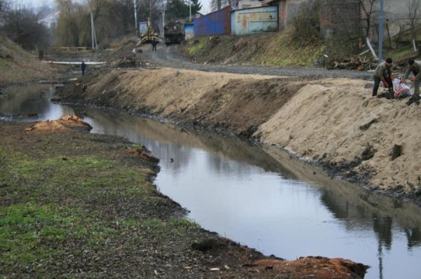 «Історія нас розсудить», – мер Луцька критикам очистки Сапалаївки