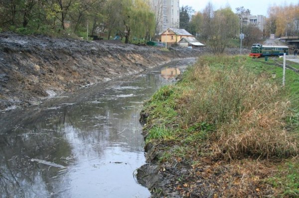 «Історія нас розсудить», – мер Луцька критикам очистки Сапалаївки