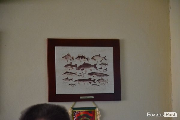 Як революціонери «розбиралися» із начальником «Волиньрибоохорони». ФОТО. ВІДЕО