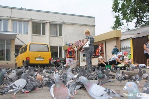 Володимир-Волинський напередодні свого свята. ФОТОРЕПОРТАЖ