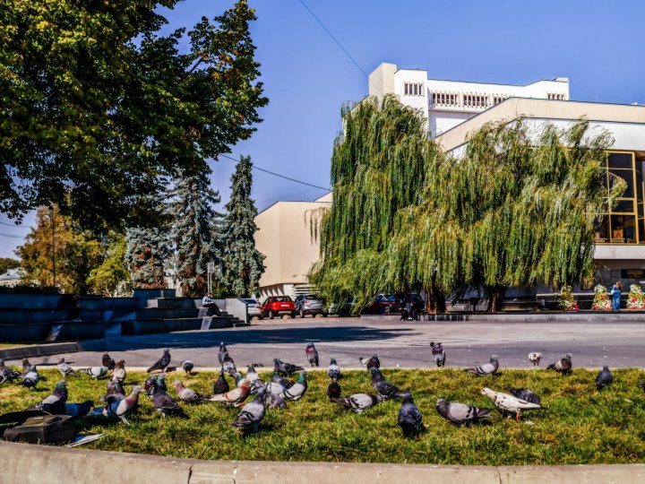  Чи покарають молодь, яка смітить біля фонтанів на Театральному майдані Луцька