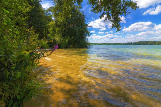 На Волині є своя «блакитна лагуна». ФОТО