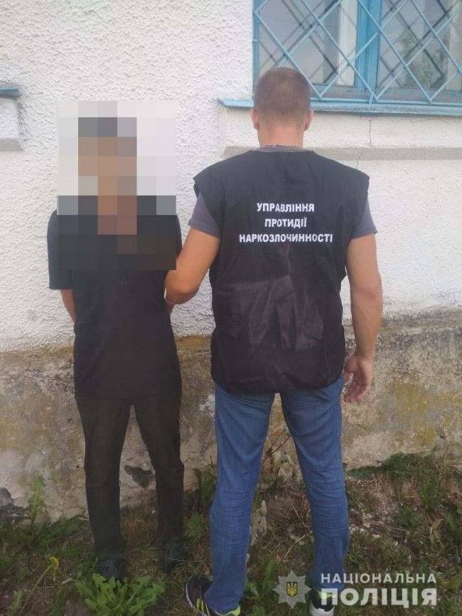 На Волині двоє братів вирощували коноплі і продавали канабіс