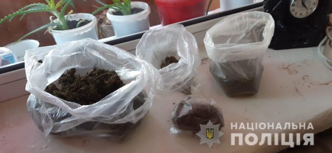 На Волині двоє братів вирощували коноплі і продавали канабіс