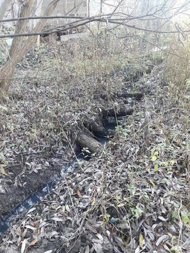 Лучанка перетворила канали центрального парку на каналізацію
