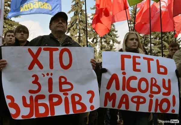 У Луцьку пікетували головного лісника Волині. ФОТО