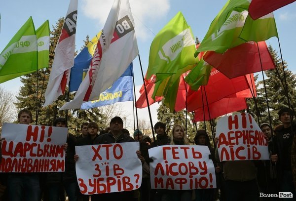 У Луцьку пікетували головного лісника Волині. ФОТО