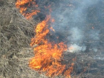 На Волині любителів підпалювати суху рослинність каратимуть жорсткішими методами